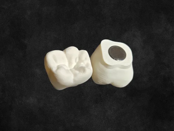 https://makerworld.bblmw.com/makerworld/model/US866bdf86048fe/design/2025-08-12_88ef8600893de8.png