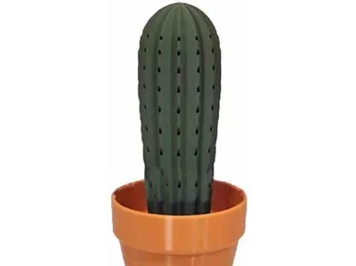 Cactus Toothpick Holder 