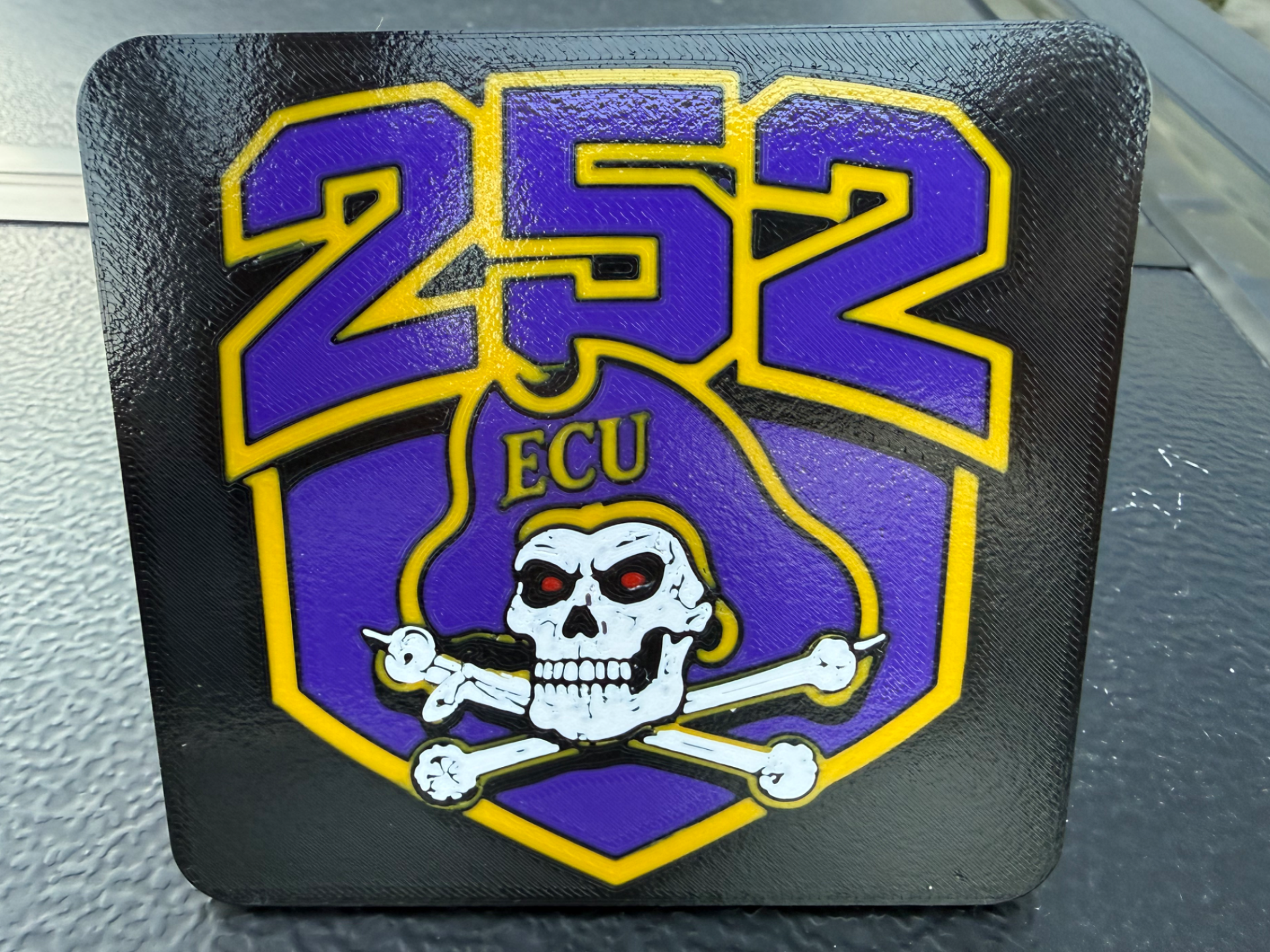ECU Pirates 252 Trailer Hitch Plug Cover