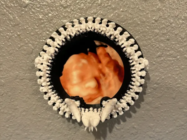 https://makerworld.bblmw.com/makerworld/model/US867b81b7b2a168/design/2024-09-30_867269739df1e.jpg