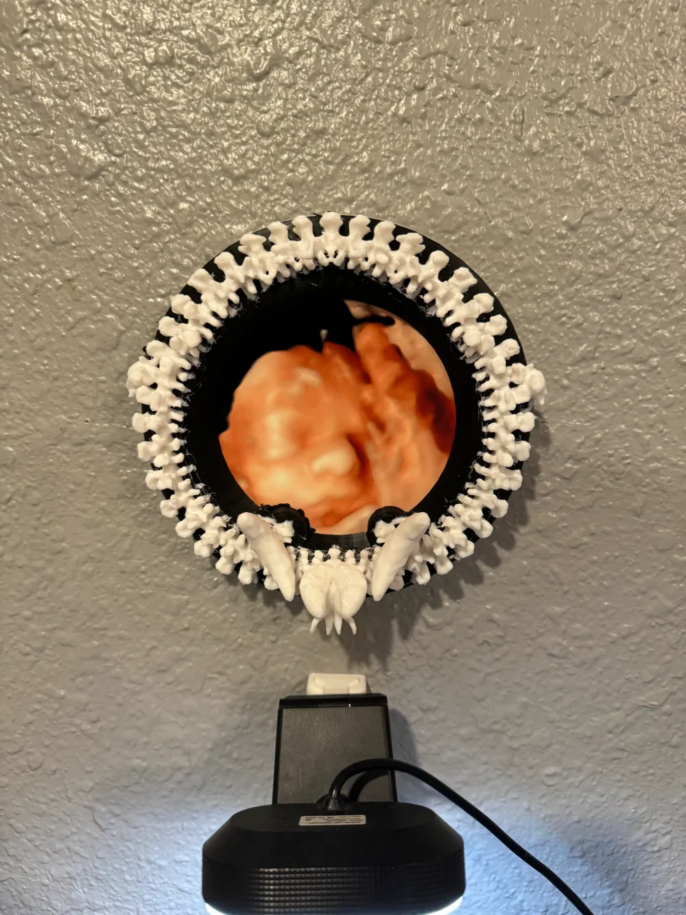 Spine Picture Frame by CorwineCustoms.3D LLC - MakerWorld