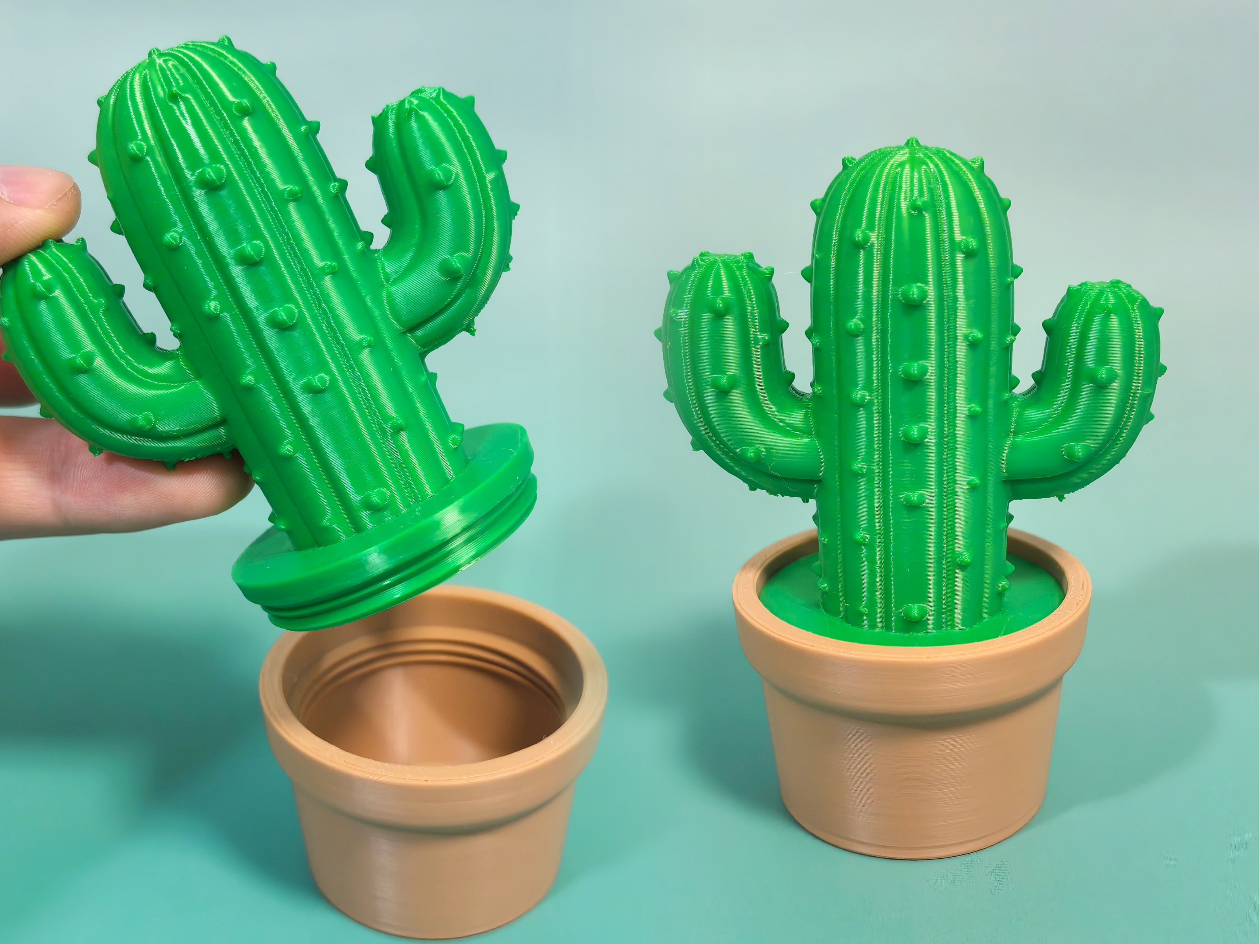 Miniatura 5 do modelo 3D 仙人掌盆栽收纳盒