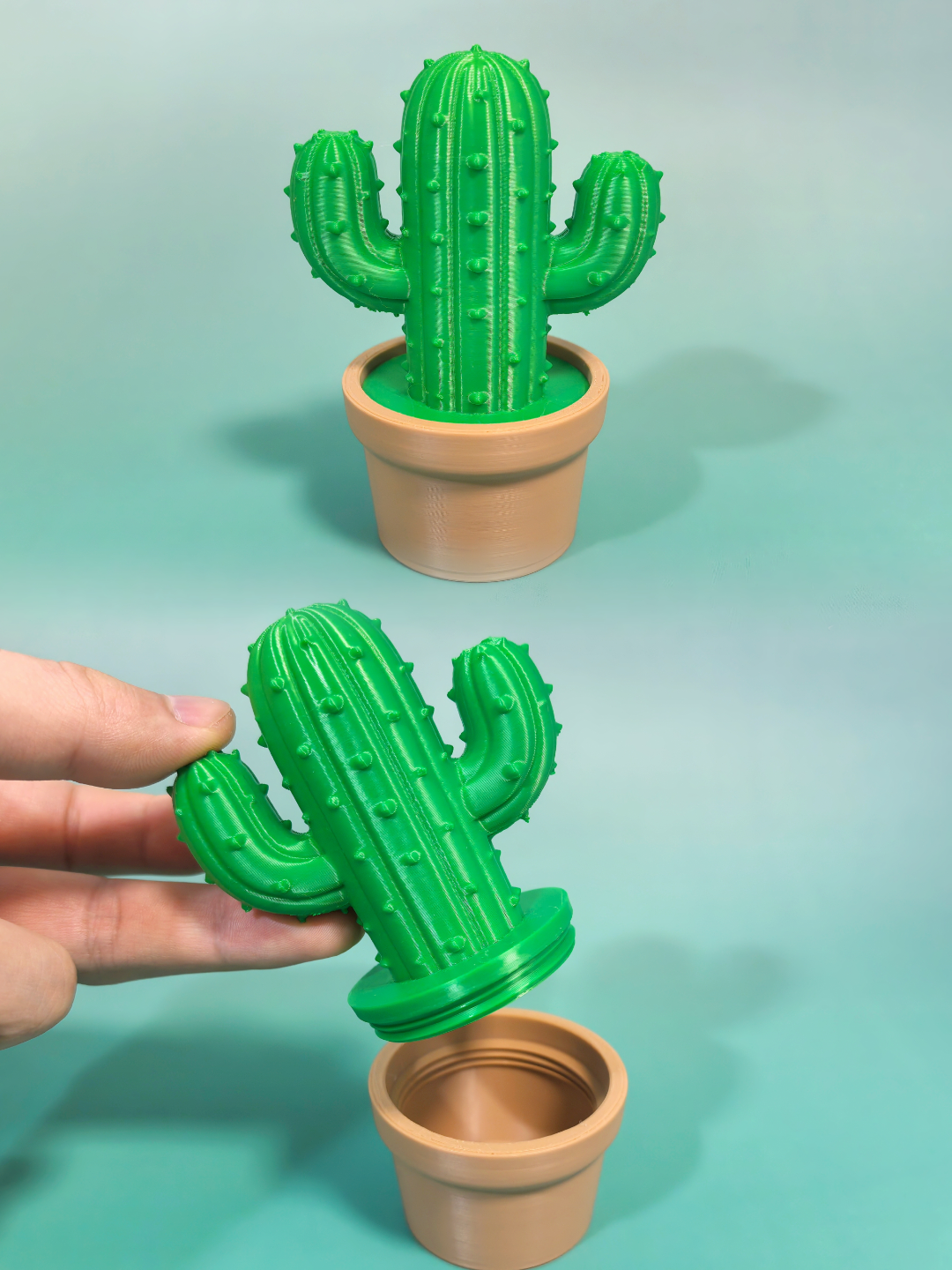 Llavero cactus 5 cm — imagen 3 de impresión 3D