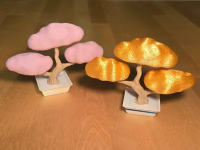 Cute Bonsai Tree