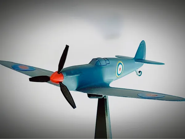 https://makerworld.bblmw.com/makerworld/model/US867da2ed38fefd/design/2025-03-03_4cf26b82bf559.jpg
