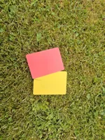 Referee Cards single Color (without AMS)