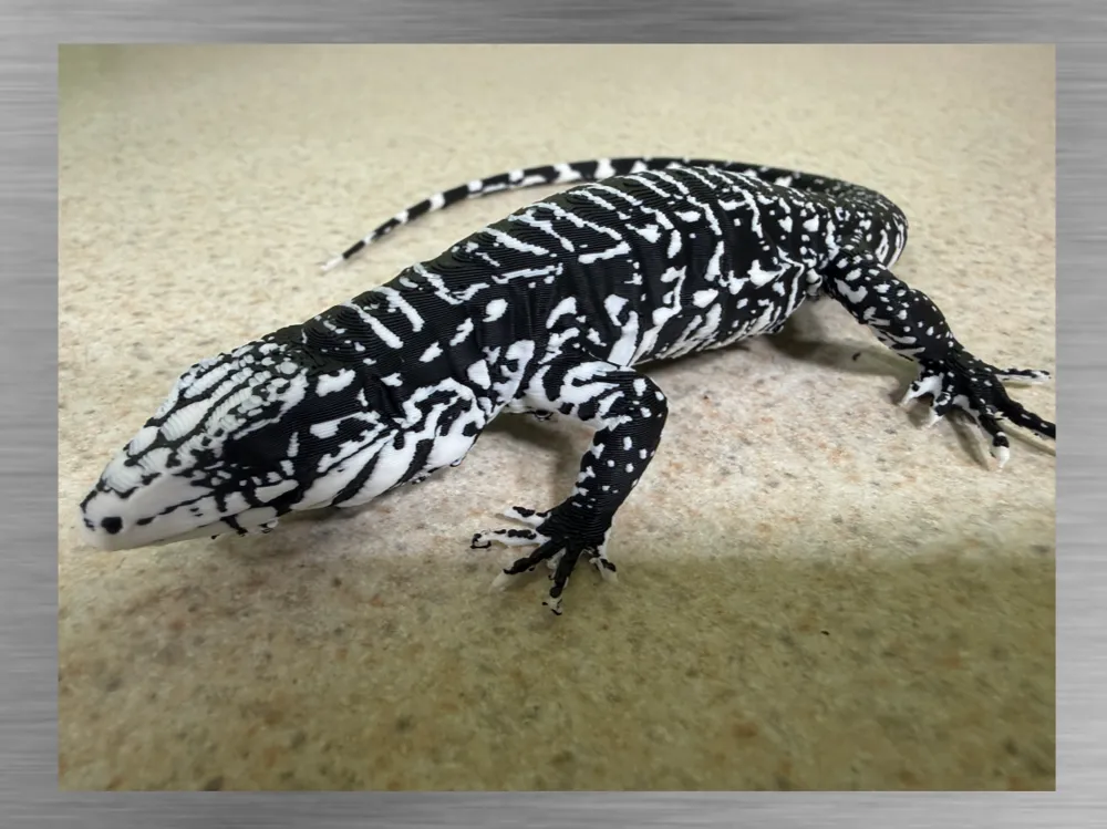 Figura decorativa: Black & White Tegu Lizard Ultra-Realistic figure. Referencia del modelo original.