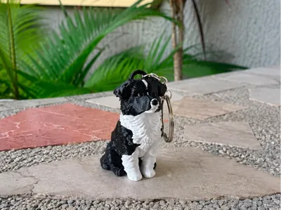 Border Collie Puppy Keychain 