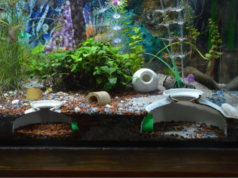 Aquarium-Untergrundhöhlen