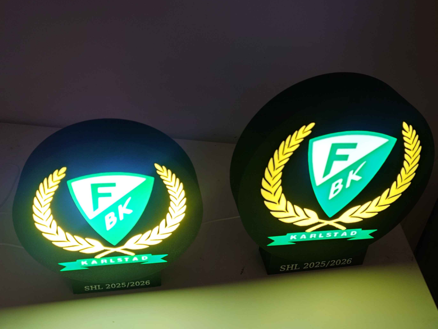 FBK Hockey Puck Lightbox