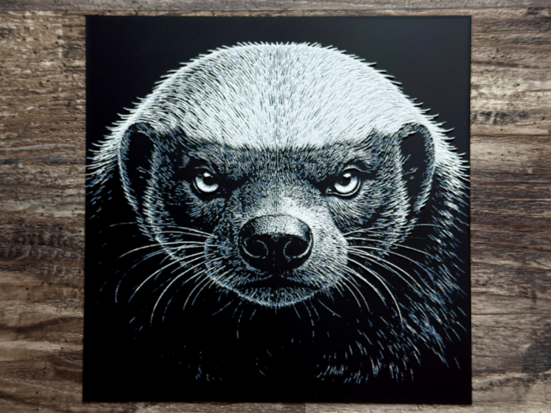 Honey Badger Wildlife Series