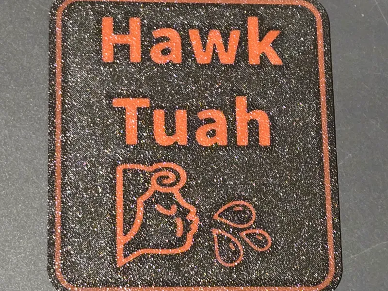Hawk Tuah sign