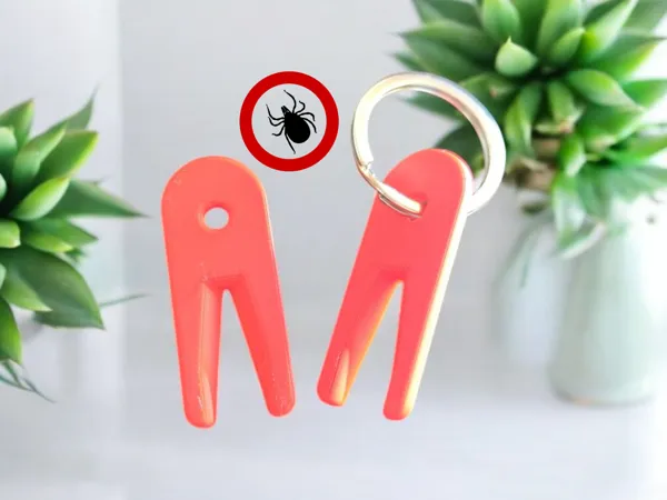 https://makerworld.bblmw.com/makerworld/model/US8689476a6111fd/design/2025-04-07_dec8206434bee.png