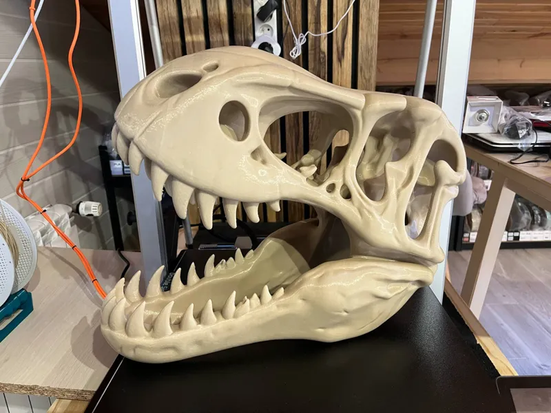 Tete T-rex squelette dinosaure