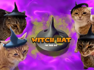 Witch Hat for your Cat