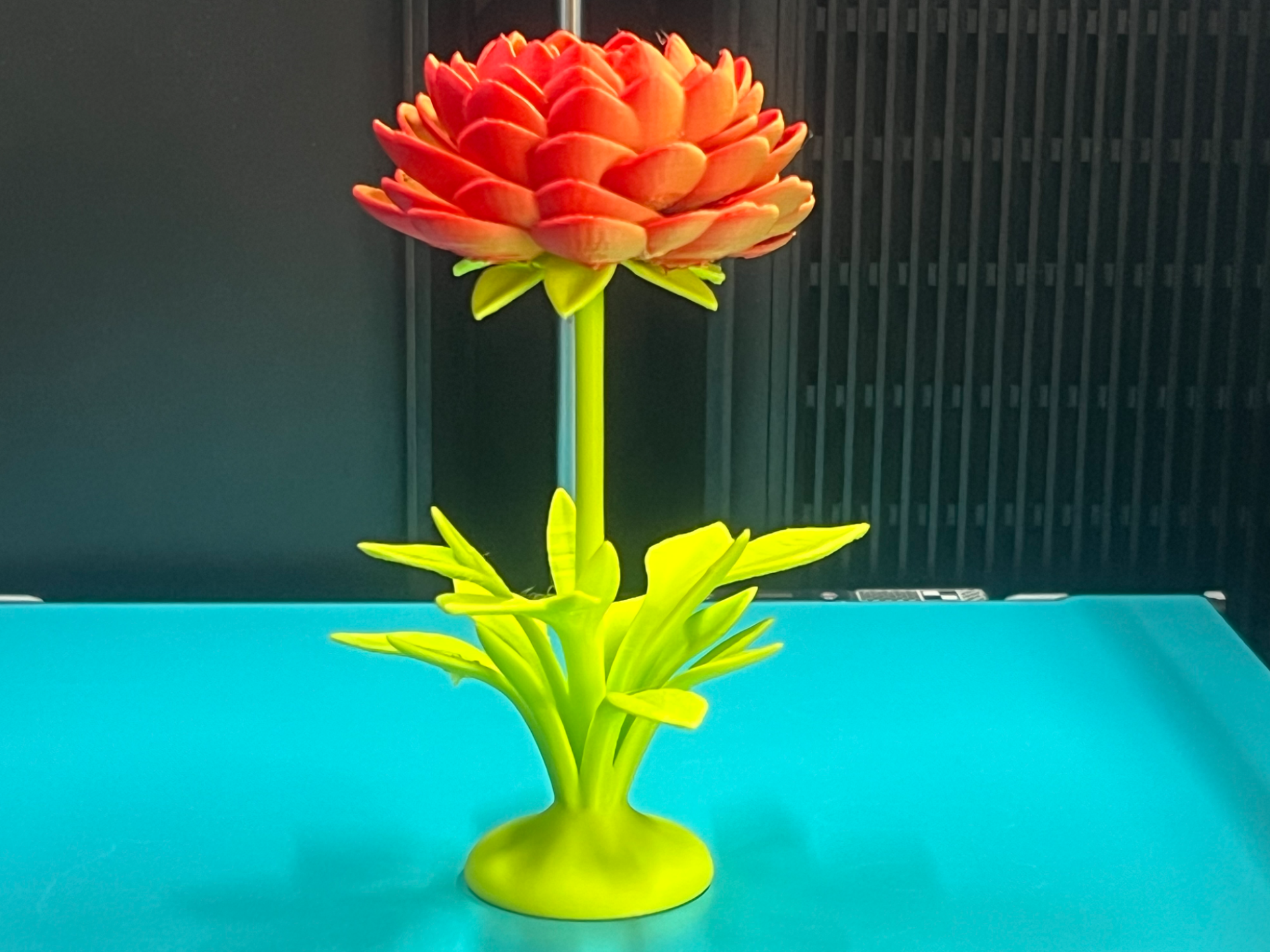 Spring Peony