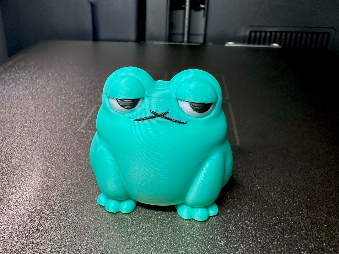 The Grumpy Froglet