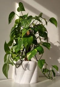 Cache-pot effet tissu matelassé incliné — photo 7