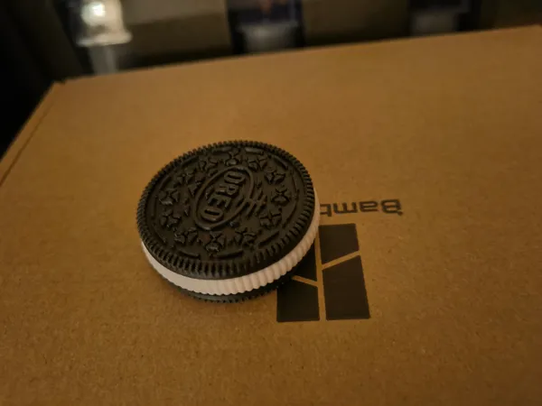 https://makerworld.bblmw.com/makerworld/model/US86a8e170a740e0/design/2024-01-11_b7d2dd77aa845.jpg