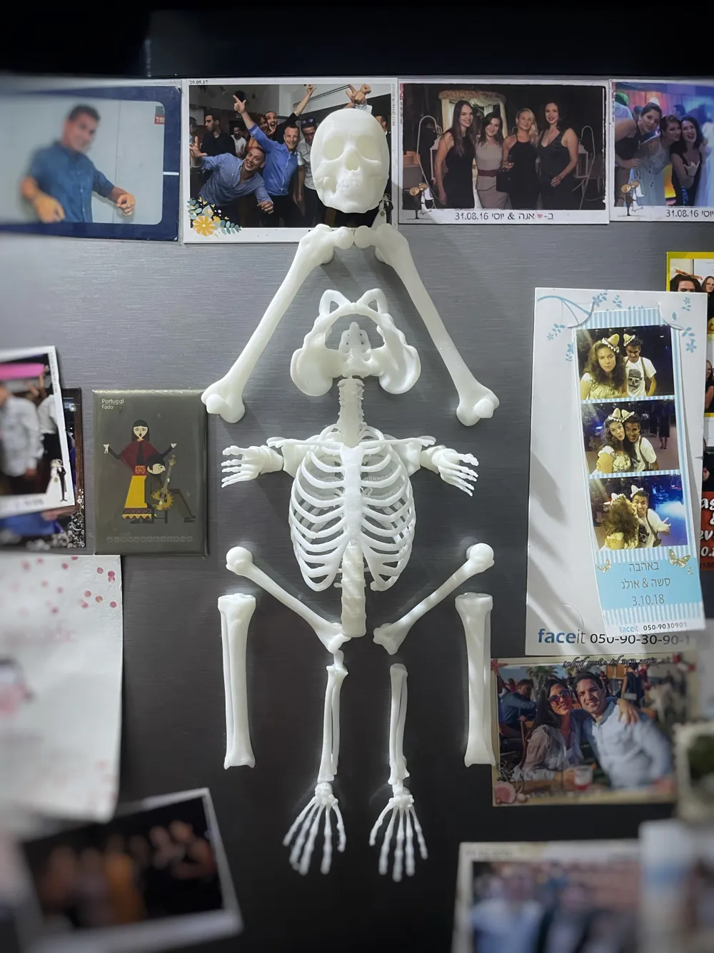 Skeleton [Refrigerator Magnet] - Free 3D Print Model - MakerWorld