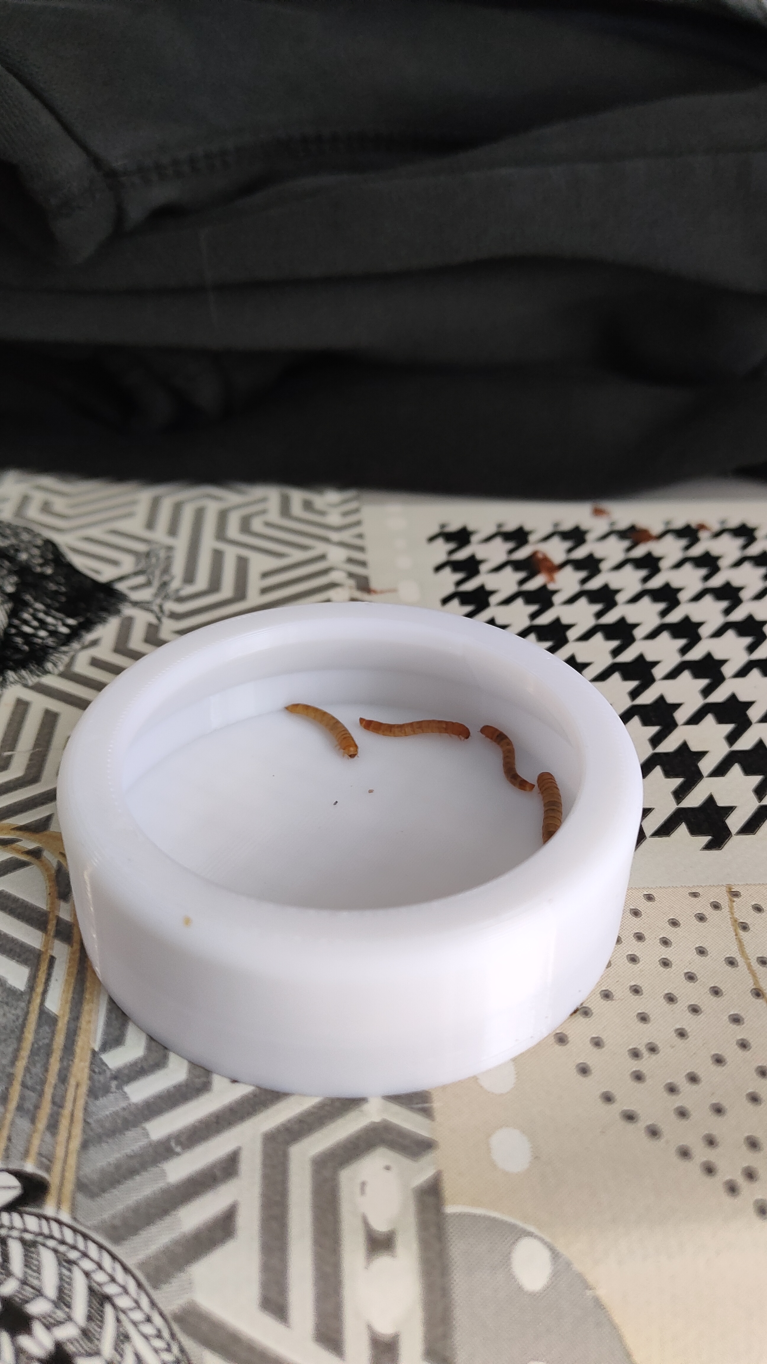 Miniatura 2 do modelo 3D Escape proof mealworm container