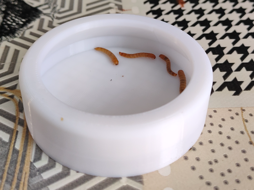 Escape proof mealworm container