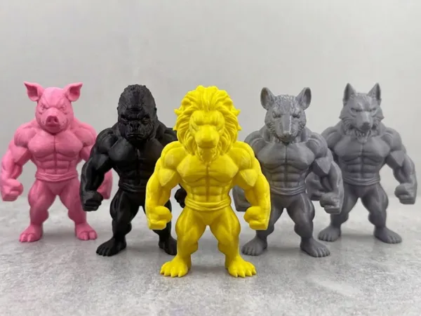 https://makerworld.bblmw.com/makerworld/model/US86acd0a6b258e1/design/faef222746a57163.png