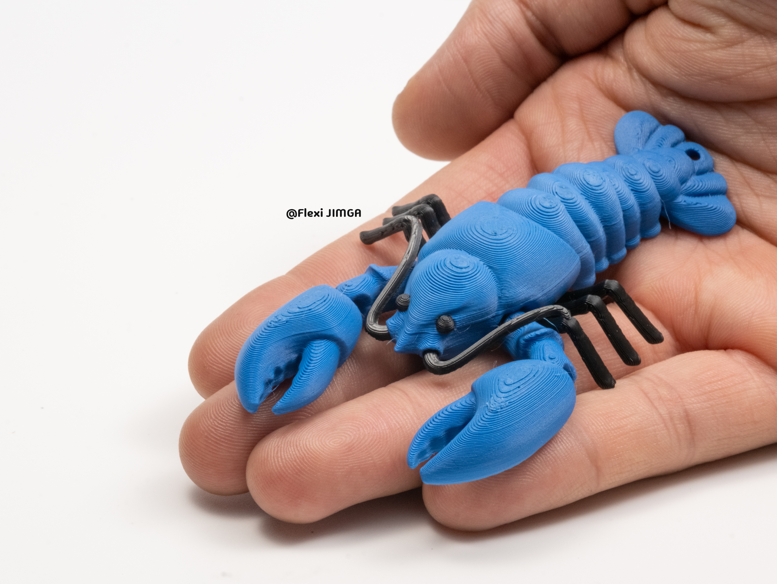 Tiny Lobster | Articulated & Keychain - Free 3D Print Model