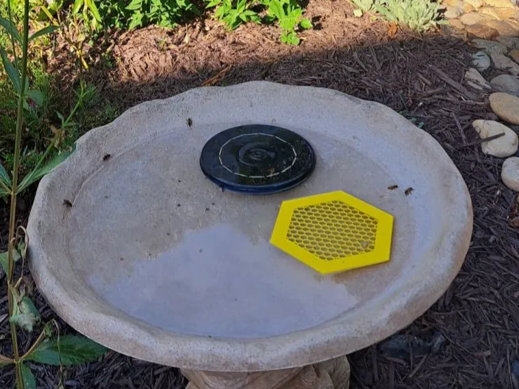 Honeybee Water Platform