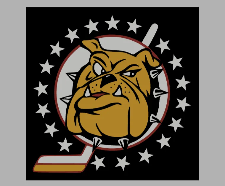 Varese Hockey logo square