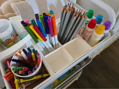 Bins for Brightroom Divided Caddy Organizer