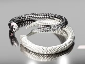Snake - Symbol of Rebirth