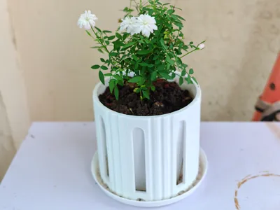 Flowerpot - Elegant Design Style
