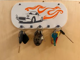 Key organizer