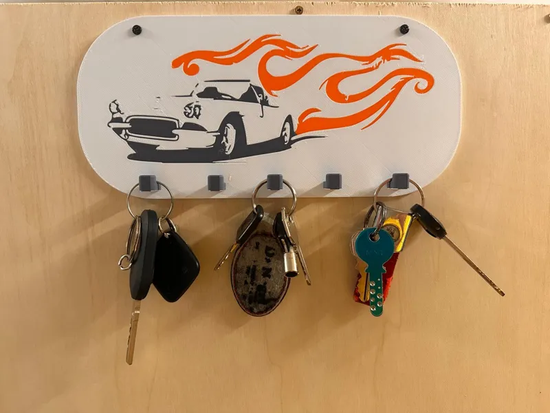 Key organizer
