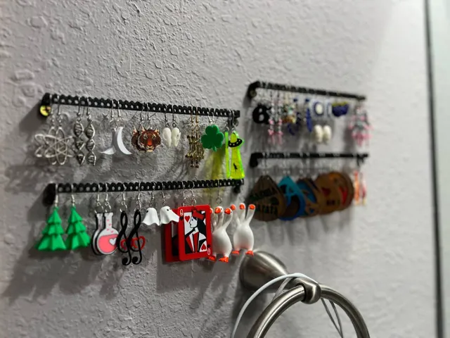 Wall Earring Organizer