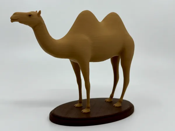 https://makerworld.bblmw.com/makerworld/model/US86d5624f776d36/design/2024-12-23_3ab1820fa2d89.jpeg