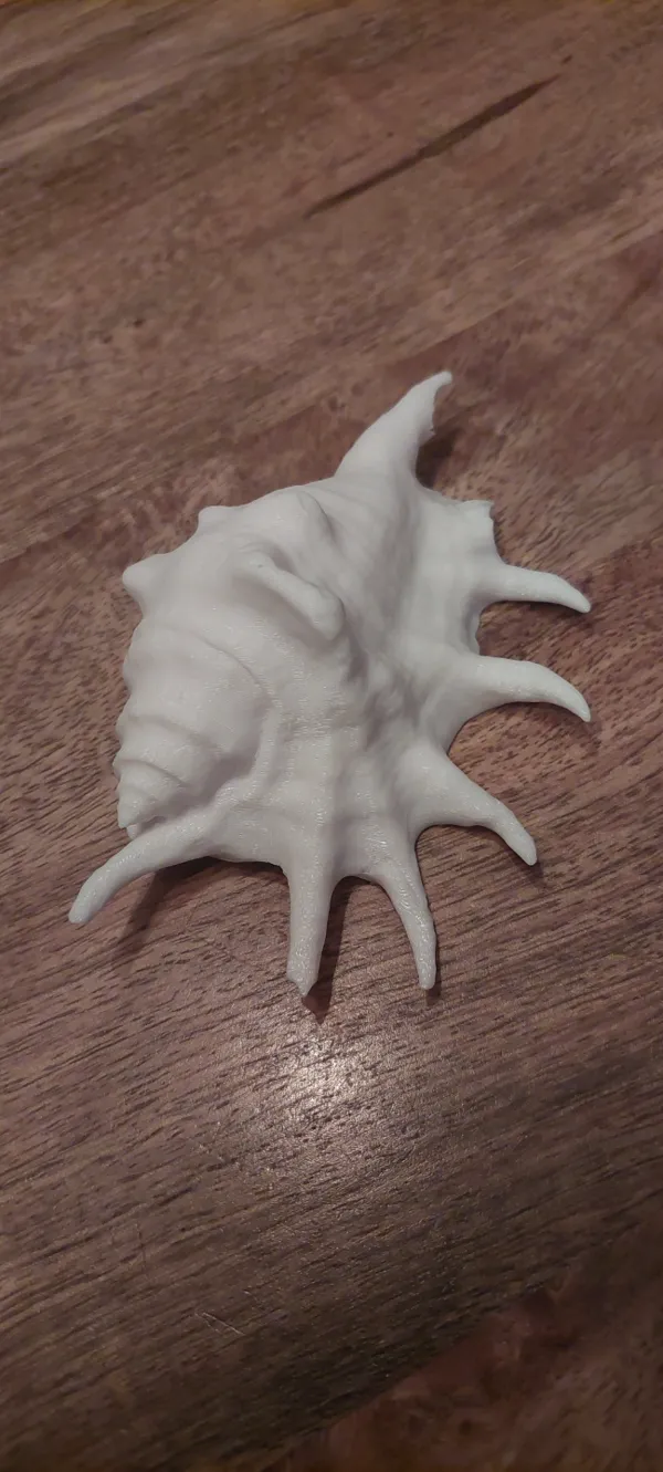 https://makerworld.bblmw.com/makerworld/model/US86dafc2d8f23a7/design/2023-12-24_f35fa803b0a71.jpg