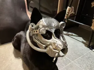 輻射狗頭盔