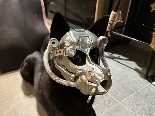 https://makerworld.bblmw.com/makerworld/model/US86dc33fc9ffbef/design/2025-09-16_e4bfcfe0247048.jpg