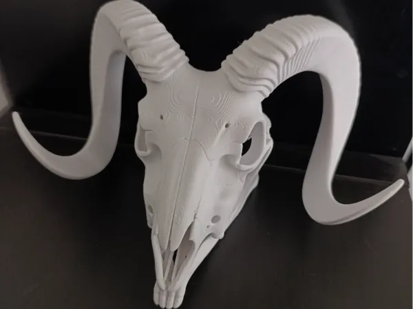 https://makerworld.bblmw.com/makerworld/model/US86dd6b23946647/design/7626b86321e13285.jpg