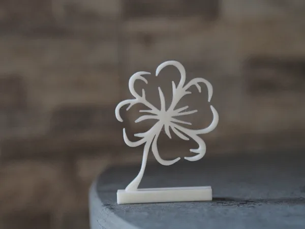https://makerworld.bblmw.com/makerworld/model/US86de6f228c873/design/2024-12-30_3b14a4e668174.jpg