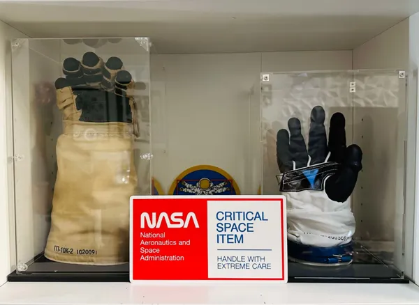https://makerworld.bblmw.com/makerworld/model/US86e39b1881e6dd/design/2024-11-01_62d64d69fb5828.jpg