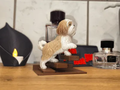 Shih Tzu on Stairs fascinating 3D Printed