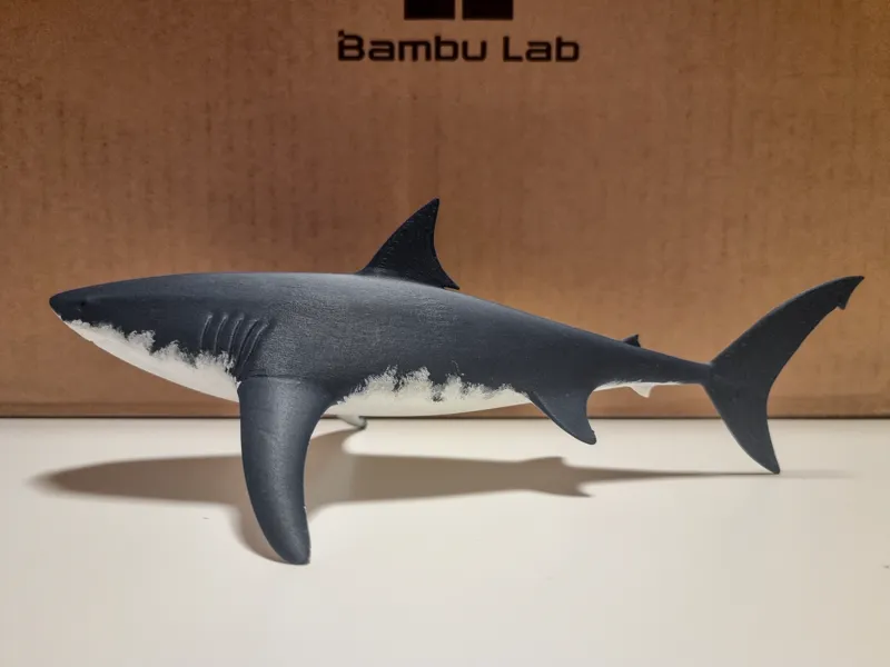 Great white shark