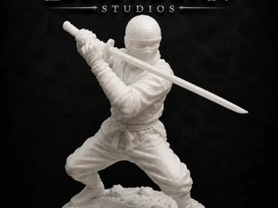Shadow Blade Ninja