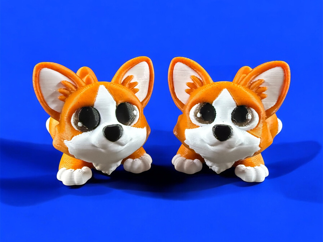Poppy the Corgi