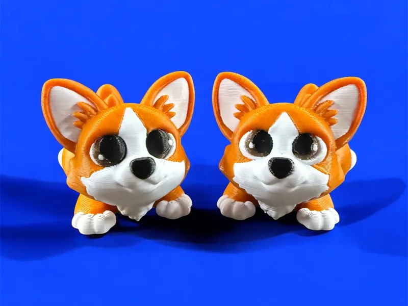 Poppy the Corgi