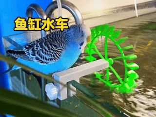 https://makerworld.bblmw.com/makerworld/model/US86ee884962dbd5/design/2025-04-24_bc05e35e32e67.gif