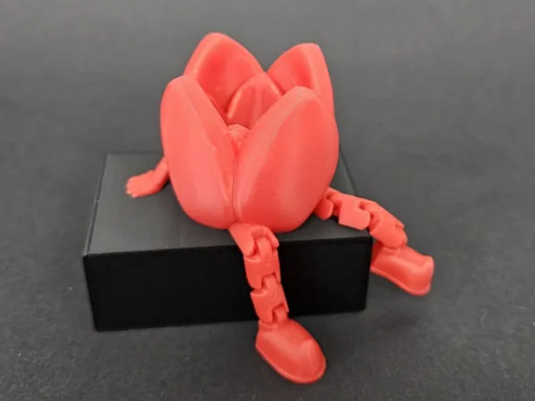 https://makerworld.bblmw.com/makerworld/model/US86f3914288ebb1/design/2025-02-11_a2756d3b0d368.jpg